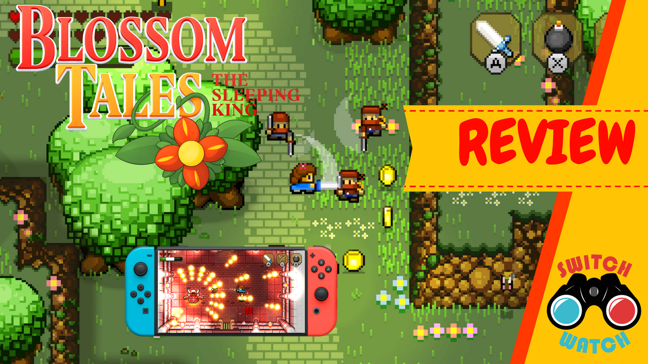 Blossom Tales: The Sleeping King Switch Review